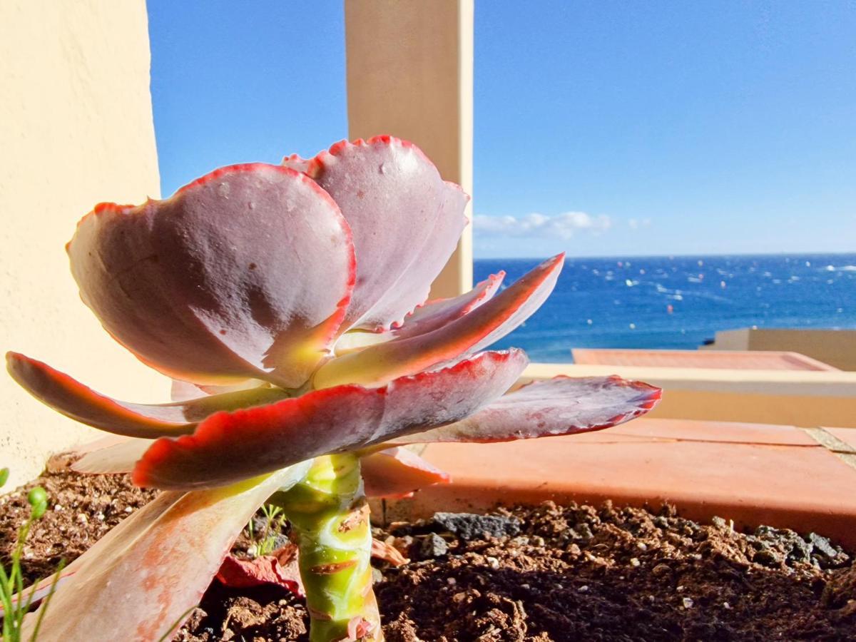 Medano4You The Ocean Terrace Penthouse El Médano Exteriör bild